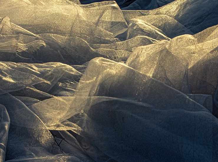 Materiale tessile (PIXABAY FOTO) - www.qrios.it