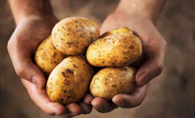 Patate, ecco l'alleato per il bucato perfetto (Canva) - FindBest