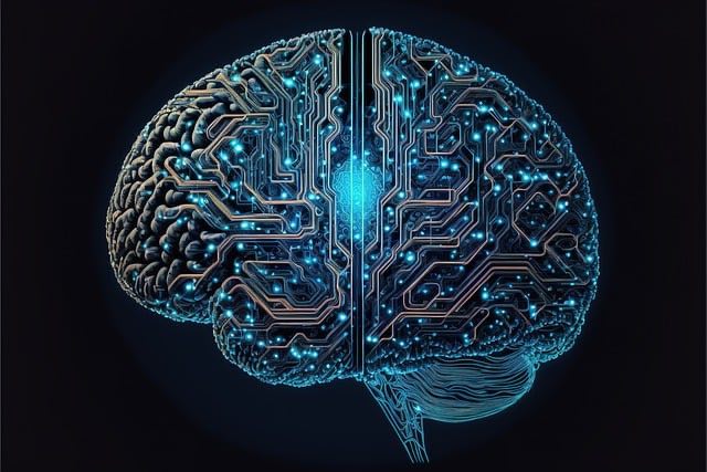 Rispondi a queste domande e scopri quanto sei intelligente: prova subito - (PIXABAY) - www.notiziesecche.it