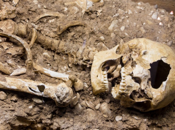 Polonia, ecco com'è la tomba di un vampiro (123 RF Foto) - www.qrios.it