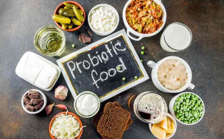 Cibi probiotici, quali sono quelli da mangiare (Canva) - FindBest