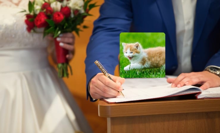 L'Anagrafe degli animali (Canva) - findbest.it