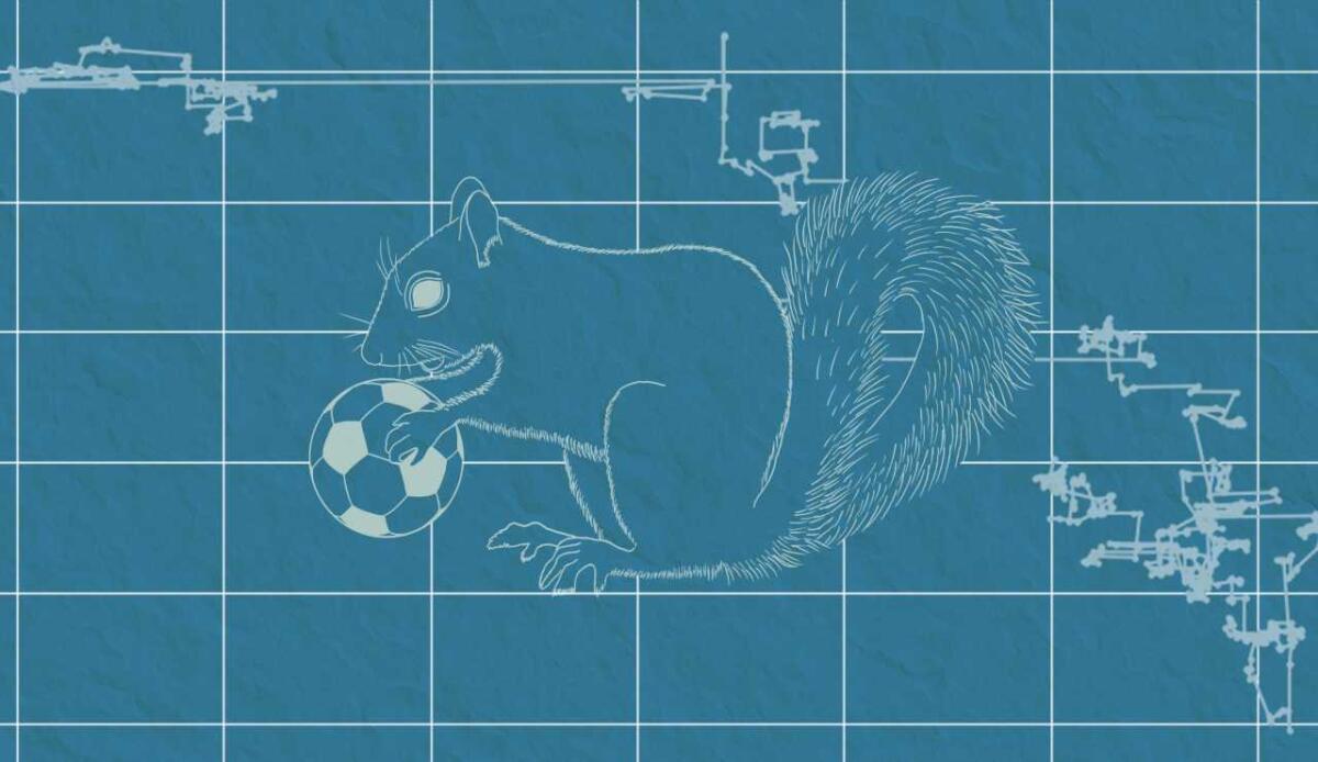 I calciatori si muovono come un unico organismo: lo dimostra il modello matematico di Lévy walk - Lévy walk, ecco come si riscontra nel calcio (oist.jp) - Qrios