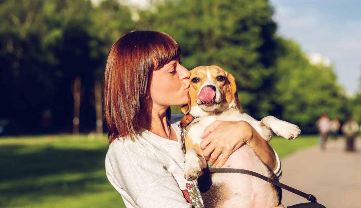 Capire i cani è più difficile di quanto pensiamo: il 90% delle persone interpreta male le loro emozioni - Donna bacia il suo cane (Canva foto) - Qrios