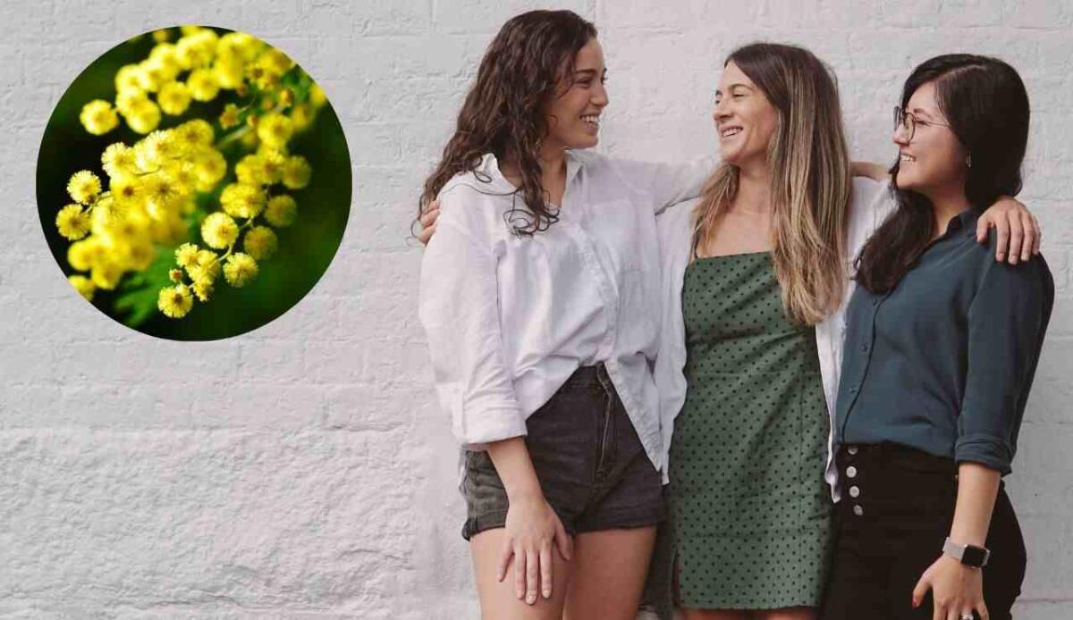 8 Marzo: perché si celebra la Festa della Donna? - Donne con mimosa (Canva Foto) - www.statodonna.it
