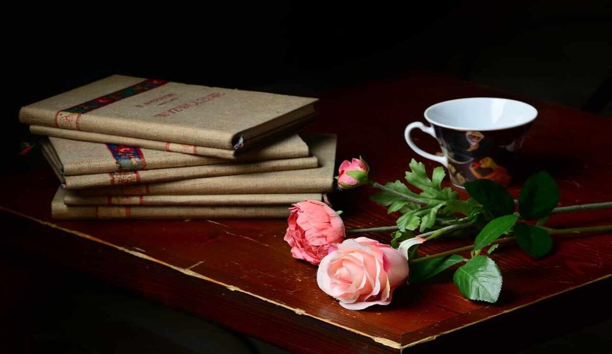 Frasi poetiche: i passaggi più belli dei poeti più famosi - Frasi da poesie (Pixabay Foto) - www.notiziesecche.it