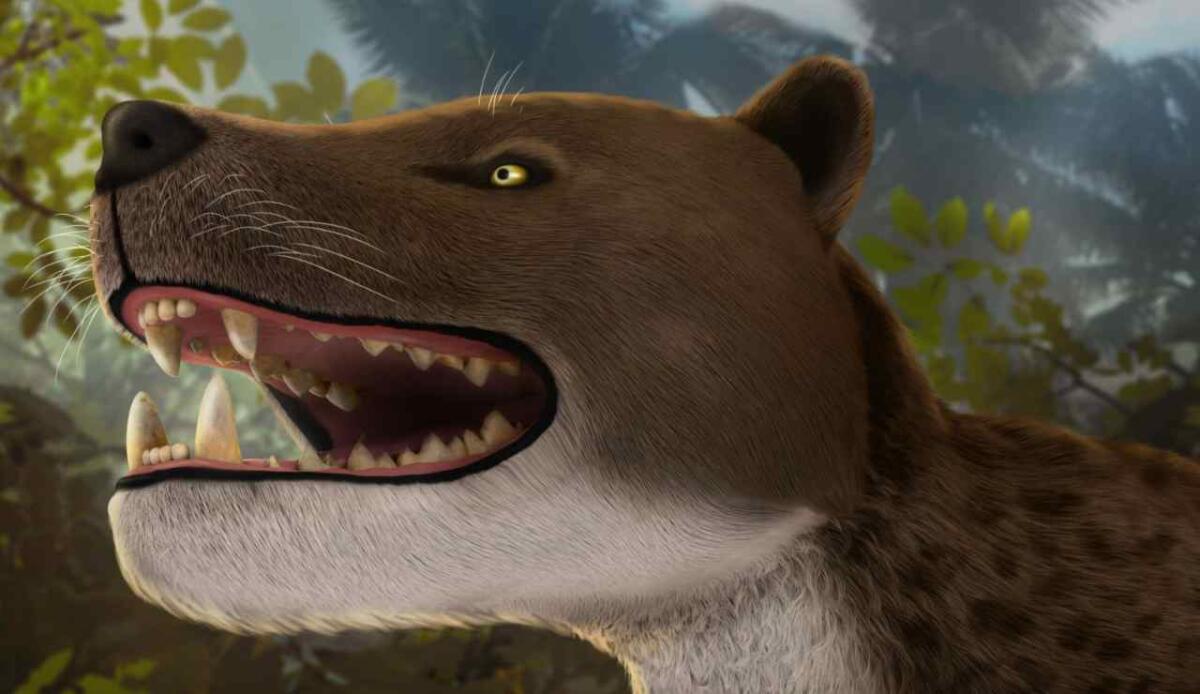Scoperto un temibile predatore preistorico: Bastetodon dominava l’Africa 30 milioni di anni fa - Illustrazione di un Bastetodon (Ahmad Morsi foto) - www.qrios.it