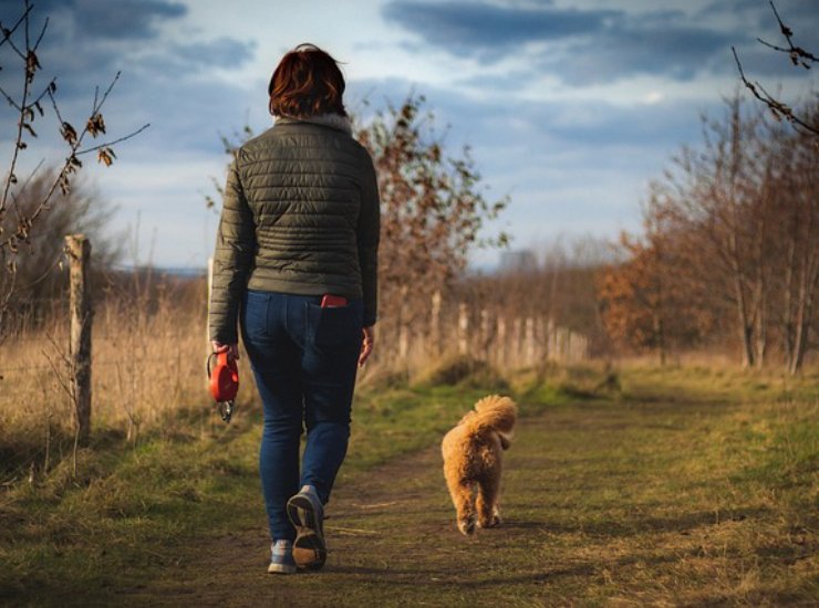 Cani, come funzionano (Pixabay Foto) - www.qrios.it