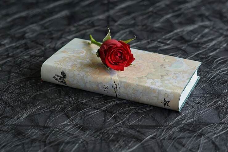Frasi poetiche (Pixabay Foto) - www.notiziesecche.it