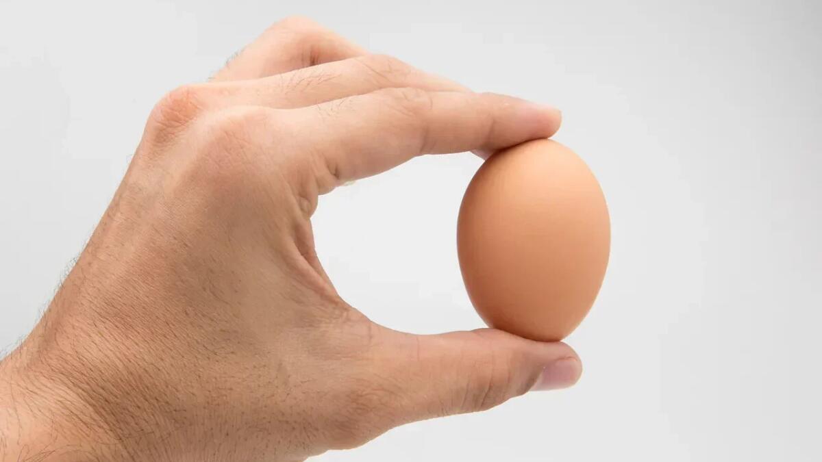 Perché le uova sono difficili da rompere se le stringi dai poli? - Perché le uova sono difficili da rompere se le stringi dai poli (Canva foto) - Immagine a scopo illustrativo - www.qrios.it