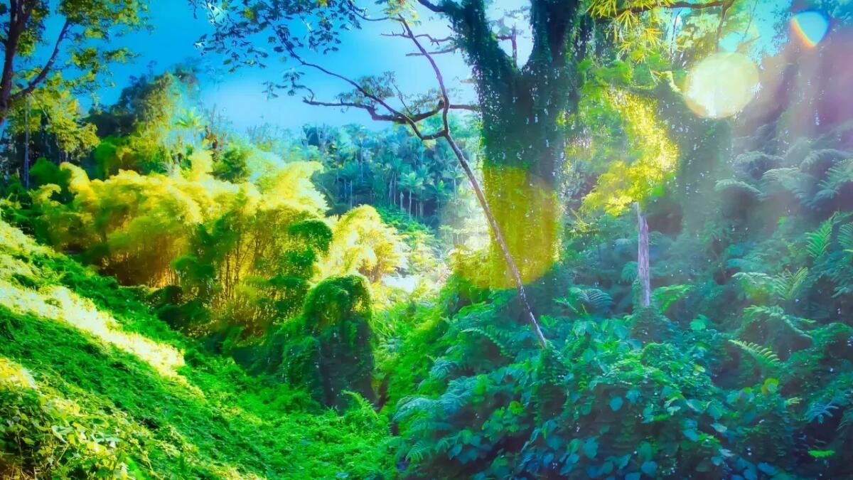 Ora è ufficiale: gli alberi comunicano tra loro come su Pandora, il pianeta di Avatar è reale - Pandora pianeta di Avatar (Canva foto) - Immagine a scopo illustrativo - www.qrios.it