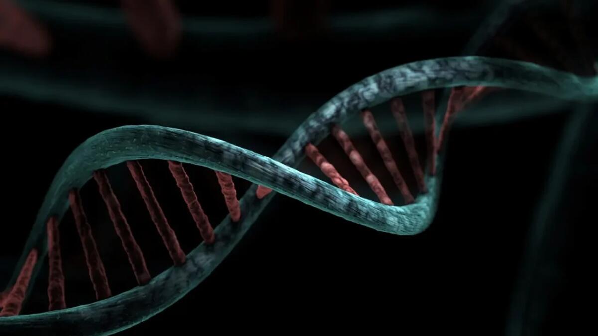 Quanto è lungo tuo DNA? Diversi viaggi di andata e ritorno tra il Sole e Plutone - 