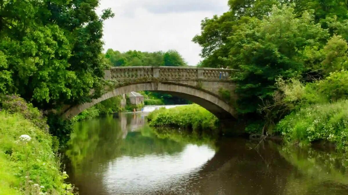 Ponte di Overtoun: perché è conosciuto come il "Ponte dei cani suicidi"? Il fenomeno spiegato - 
