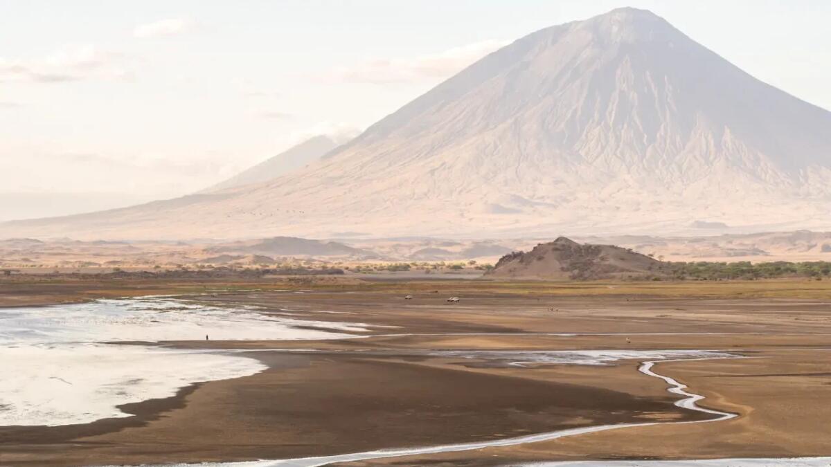 Il segreto del lago Natron: dove gli animali diventano pietra - 
