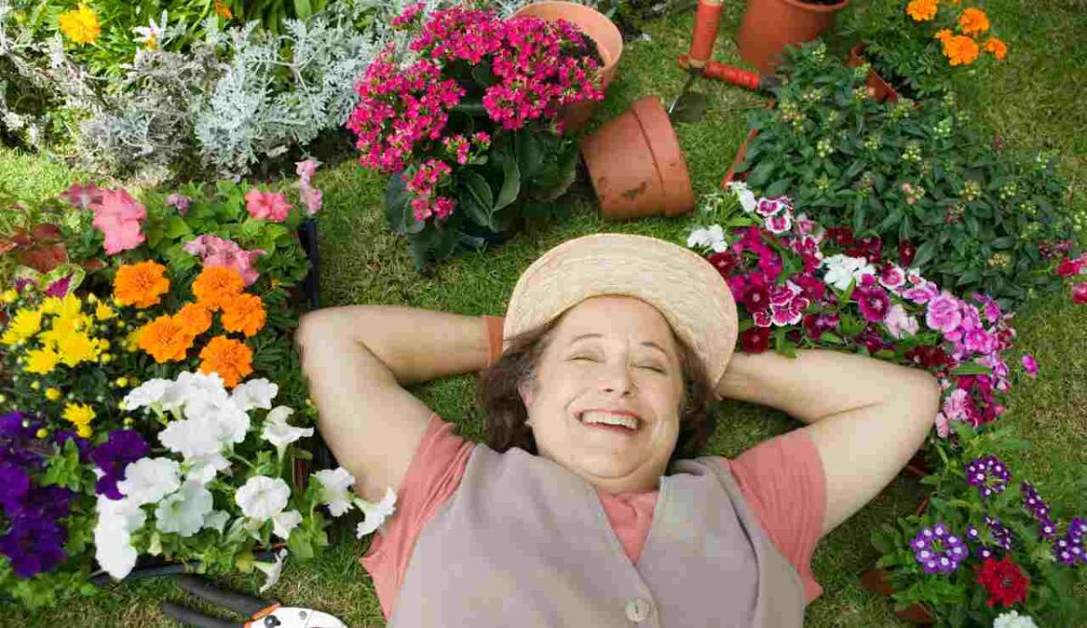 Primavera in fiore: come prendersi cura di piante e fiori nel modo giusto - Come prendersi cura delle proprie piante in primavera (Canva Foto) - www.statodonna.it