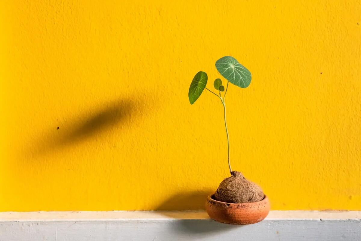 Rivoluzione verde: la batteria che trasforma acqua e argilla in energia pulita - 