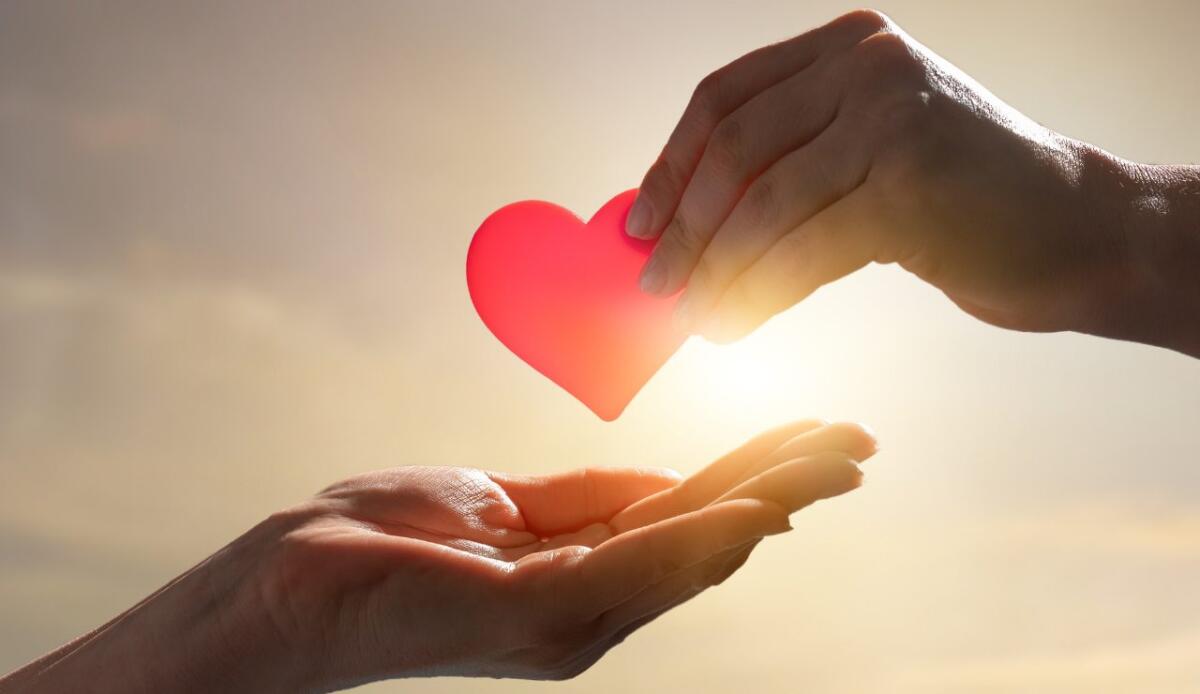 Frasi da dedicare a un amore platonico: parole per un sentimento puro e spirituale - Frasi da dedicare all'amore platonico (Canva FOTO) - www.frasidadedicare.it