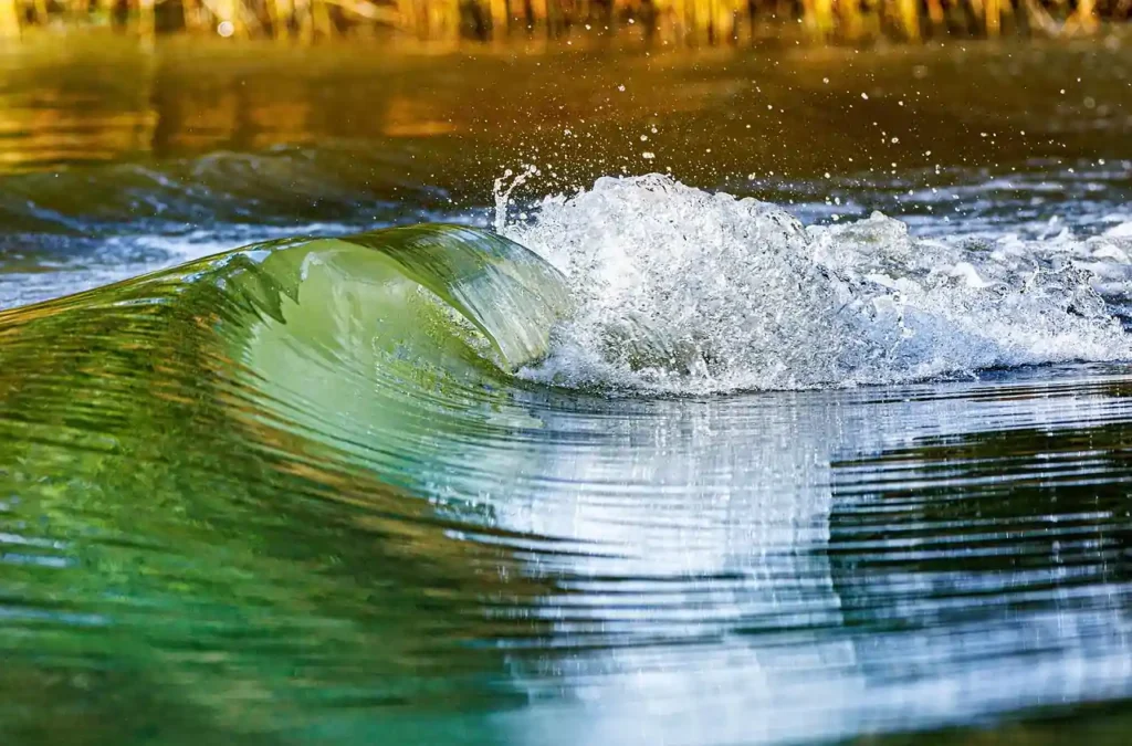 Qual è l'onda d'acqua dolce più grande al mondo?