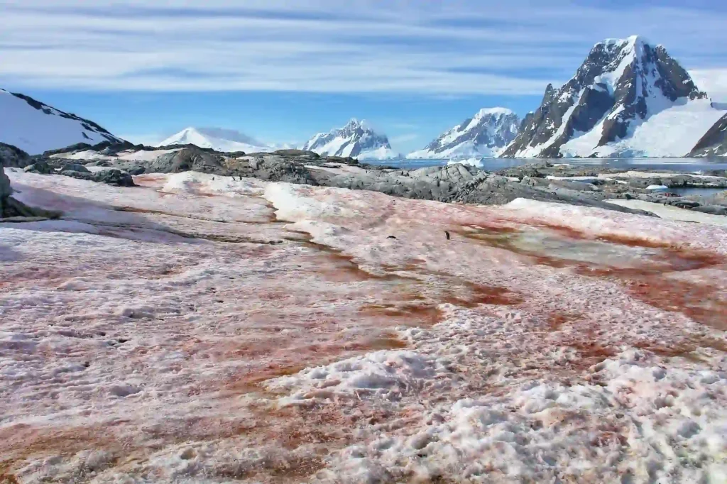 Il segreto delle cascate di sangue dell'Antartide