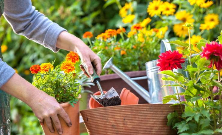 Prendersi cura delle piante e dei fiori in primavera (Canva Foto) - www.statodonna.it