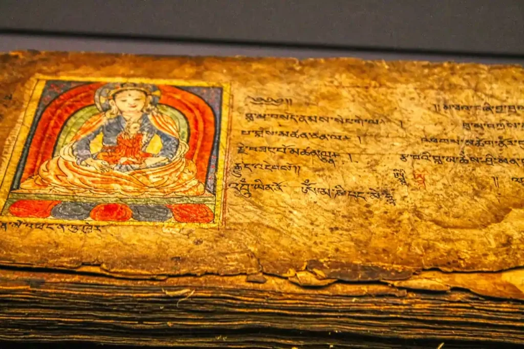 Il manoscritto Voynich: svelato il segreto del libro che sfida il tempo