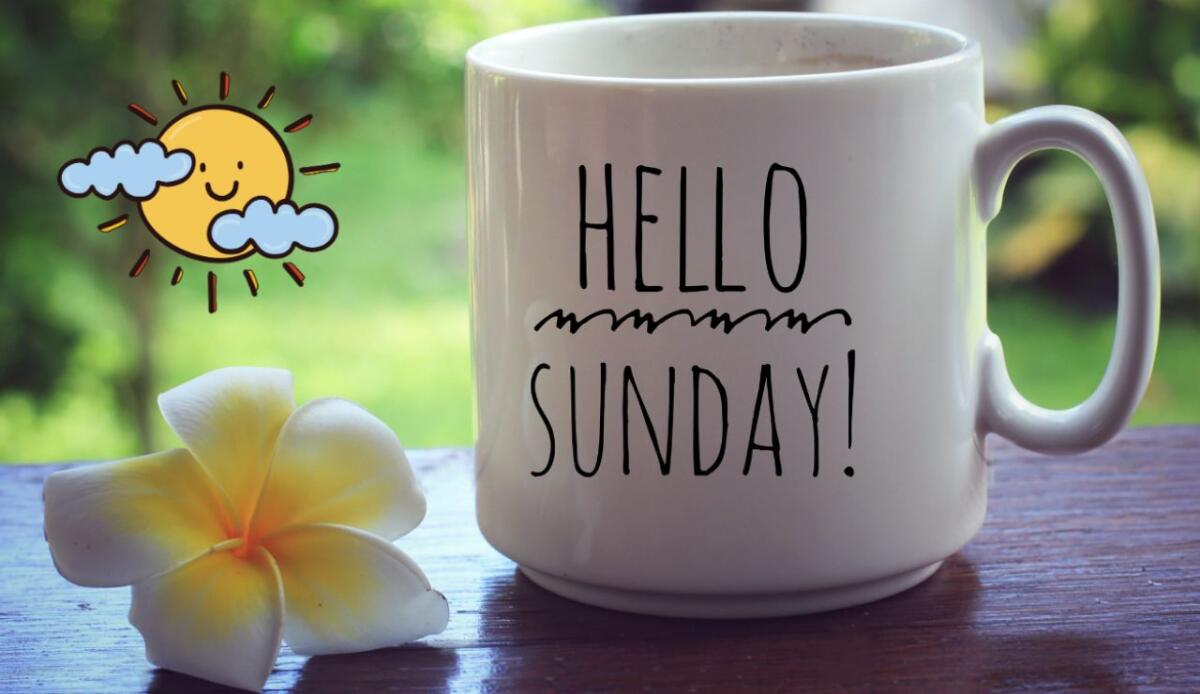 Buona domenica: 50 frasi per iniziare al meglio la giornata di riposo per eccellenza - 