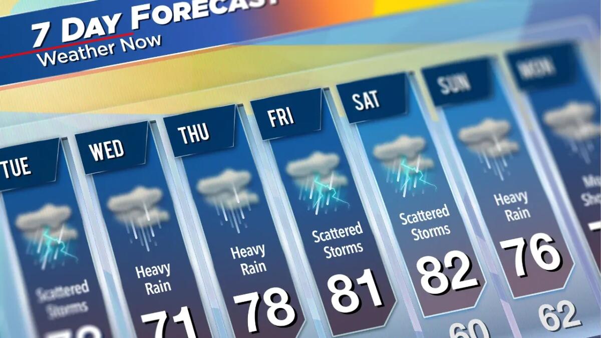 Come June Bacon-Bercey ha cambiato il futuro dei meteorologi di colore - 