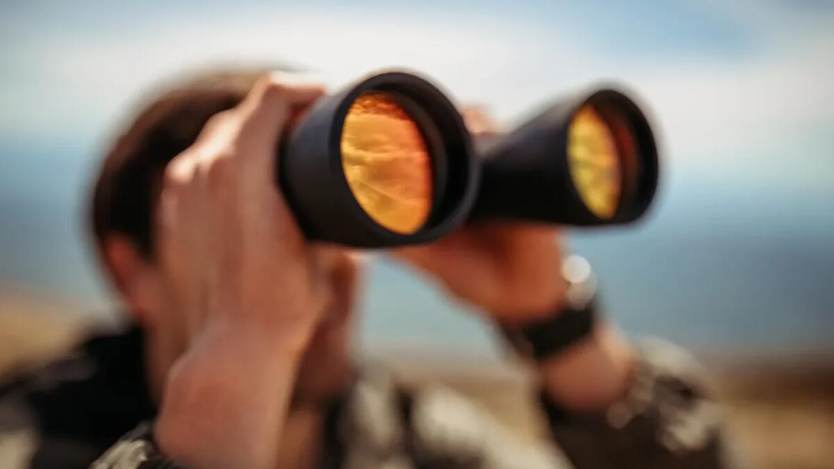 Quali sono i migliori binocoli termici? - 