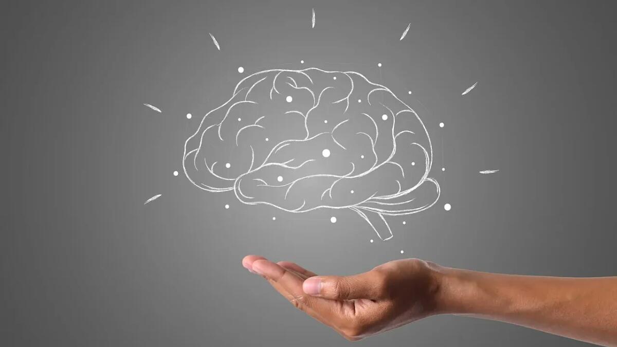 Come la placenta e gli ormoni hanno plasmato l'evoluzione del cervello umano - 