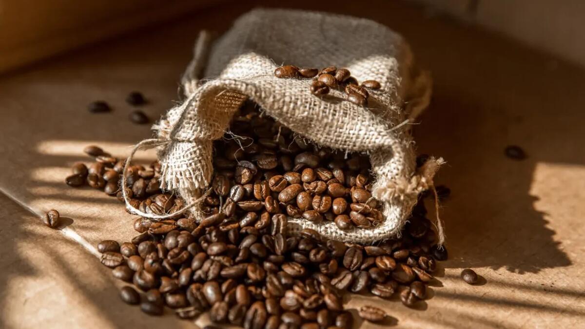 Come la deforestazione gonfia i prezzi del caffè e quali sono le soluzioni possibili - 