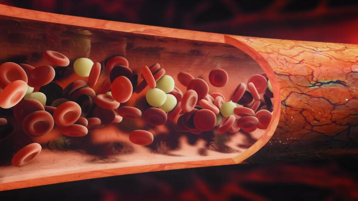Nuove nanoparticelle potrebbero cambiare il modo in cui vengono distribuiti i farmaci nei tessuti - 