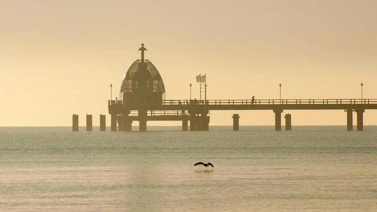 Cosa sta succedendo alle specie nel mare di Wadden? - 