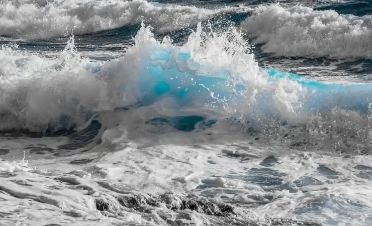 I microbi nel mare rivelano la salute delle barriere coralline