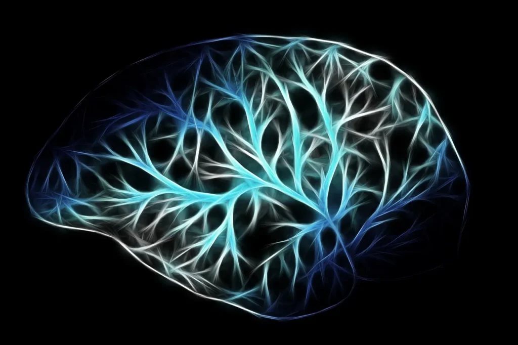 Come la placenta e gli ormoni hanno plasmato l'evoluzione del cervello umano