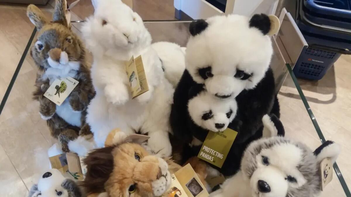 Perché le action figure del WWF hanno conquistato gli anni ‘80 - 