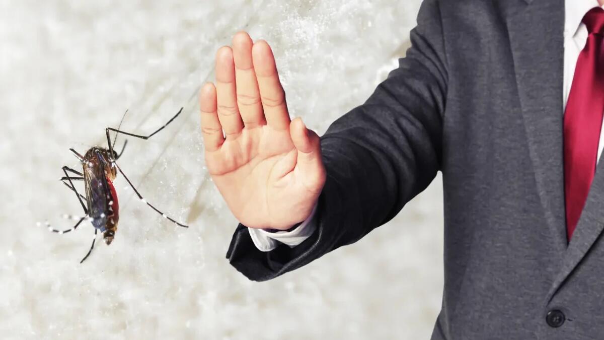 Basta punture! Ecco come difendersi davvero dalle zanzare - 