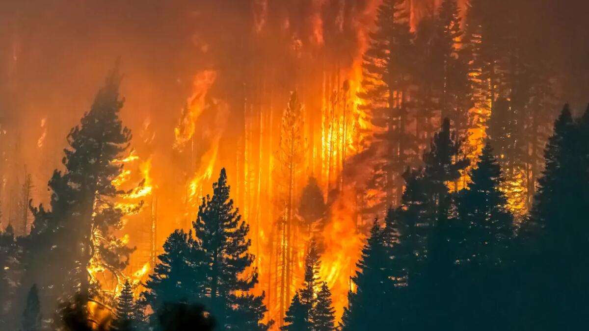 Come la California sta utilizzando batterie ferro-sale per combattere gli incendi - 