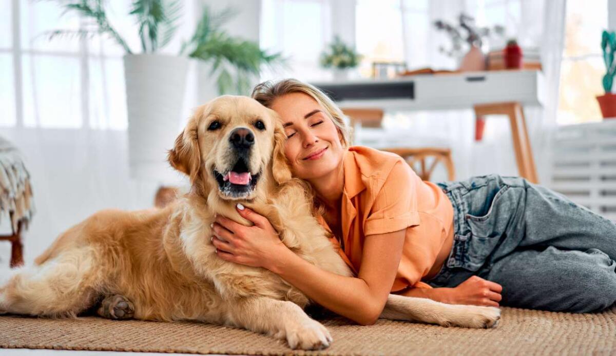 Frasi dolci e commoventi da dedicare al tuo animale domestico (anche se non le può leggere) - 