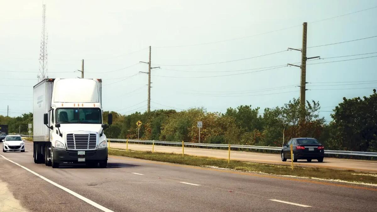 I camion più amati d’America: cosa ci dicono le ricerche online - 