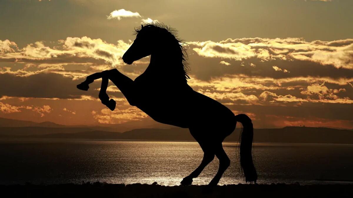 Il cavallo da 70 milioni che ha stupito il mondo delle corse - 
