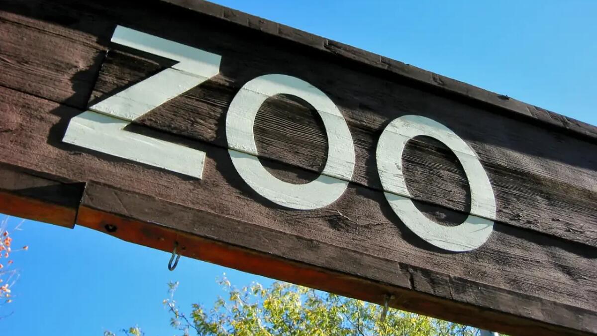 Una nuova visione per gli zoo moderni: dal XIX secolo a oggi - 