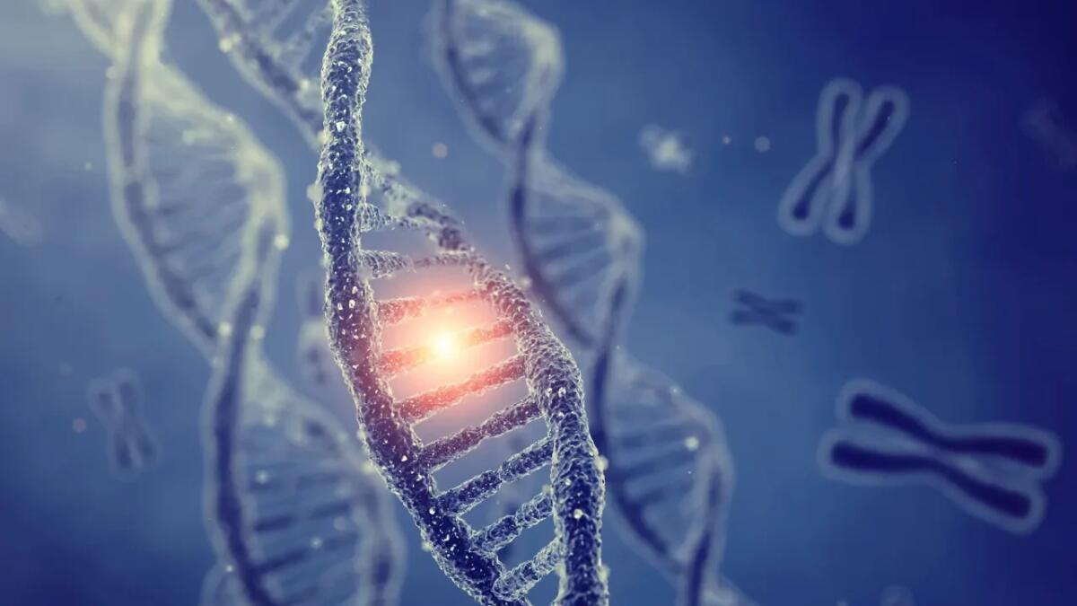 Bioingegneria tra etica e innovazione: cresce il dibattito su rischi e opportunità - 