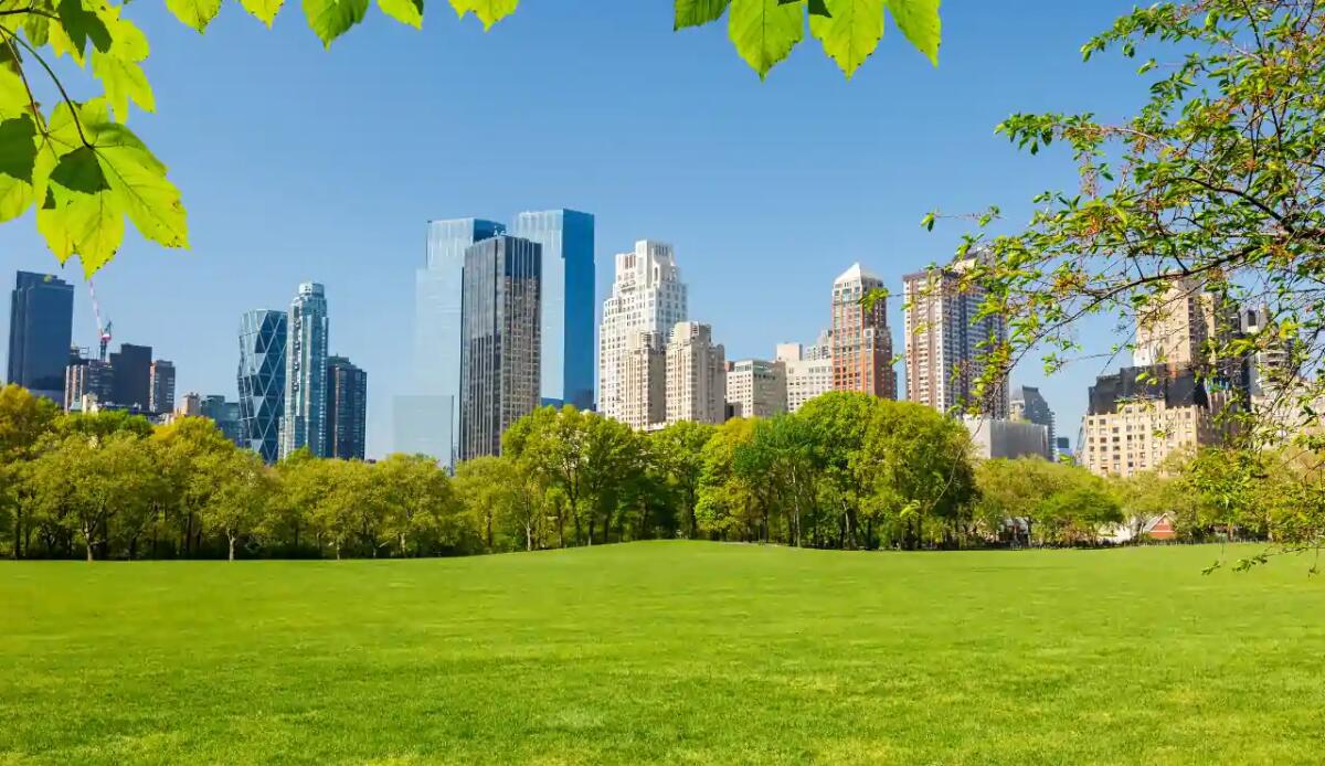 Come la Rewilding dei Broadway Mall ha trasformato New York in un rifugio per la natura - 