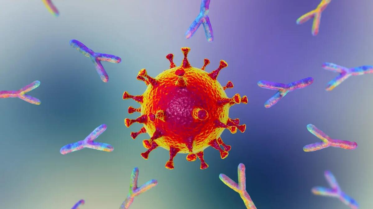 Un microchip rivoluziona lo studio tra anticorpi e virus: verso vaccini più rapidi ed efficaci - 