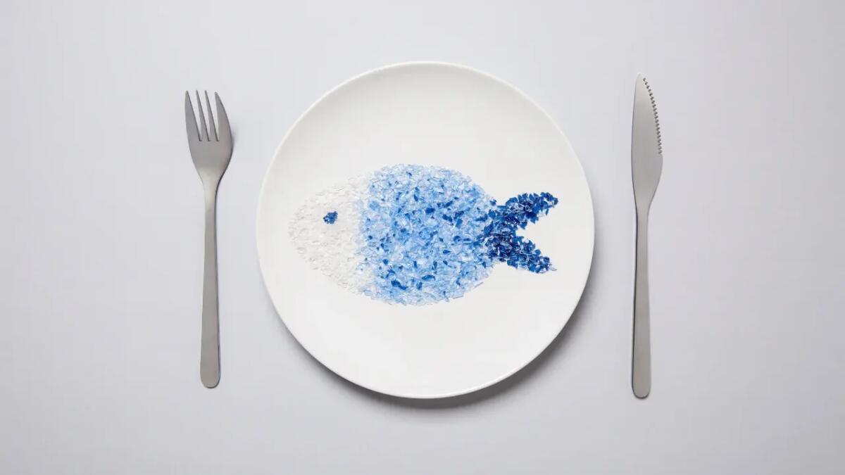 Un'allarmante scoperta di microplastiche nei pesci dell'Appalachia - 