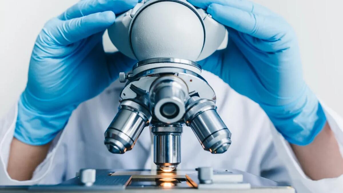 Come scegliere fotocamera e illuminazione perfette per scatti microscopici di qualità - 