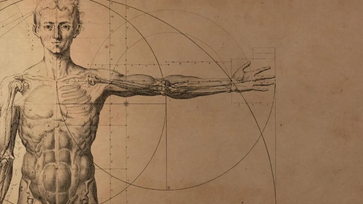 A Riga un museo unico: la collezione anatomica che racconta un secolo di scienza - 