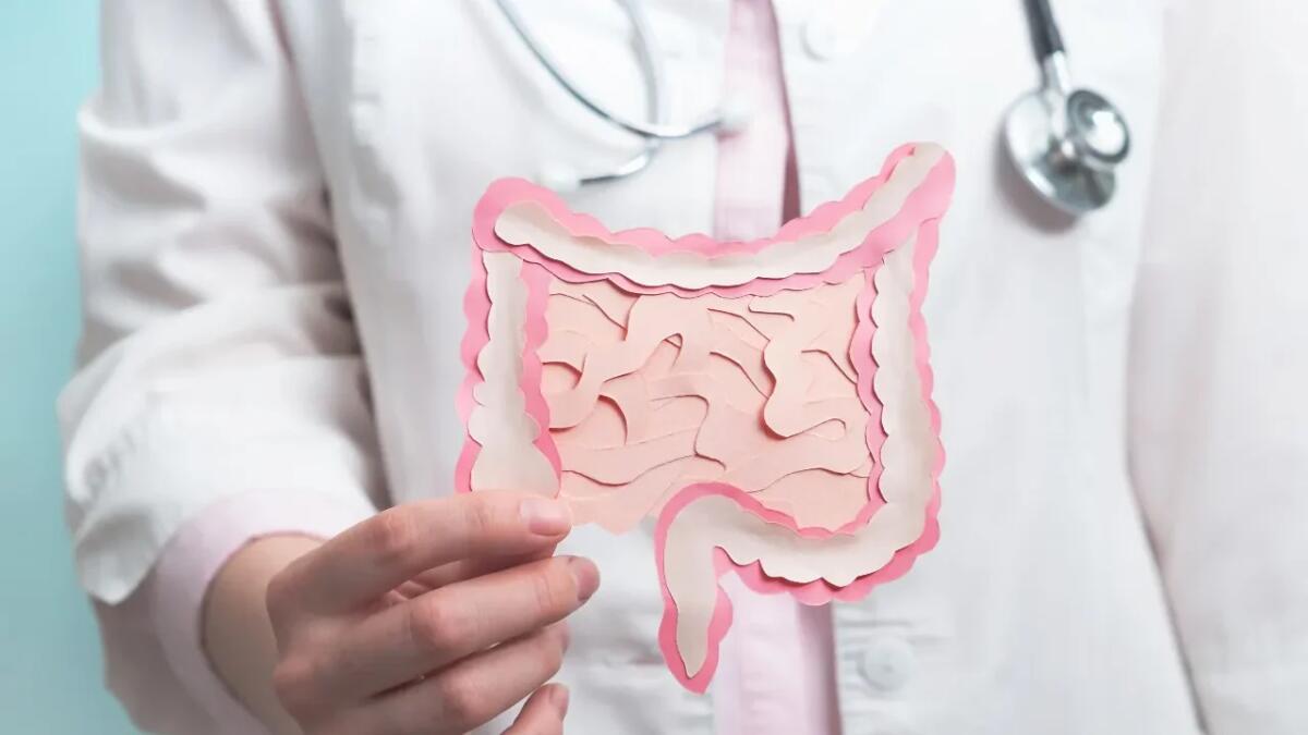 PFAS e salute: i batteri intestinali potrebbero aiutare a eliminarli naturalmente - 