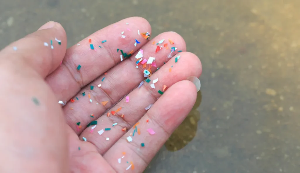Un'allarmante scoperta di microplastiche nei pesci dell'Appalachia