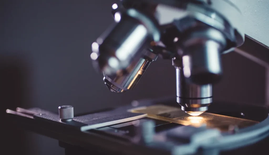 Come scegliere fotocamera e illuminazione perfette per scatti microscopici di qualità